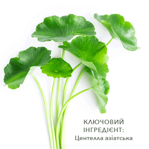 Meder Soin-Apax Serum 50ml Антиоксидантна сироватка для чутливої шкіри Суан-Апакс &mdash; Фото 2